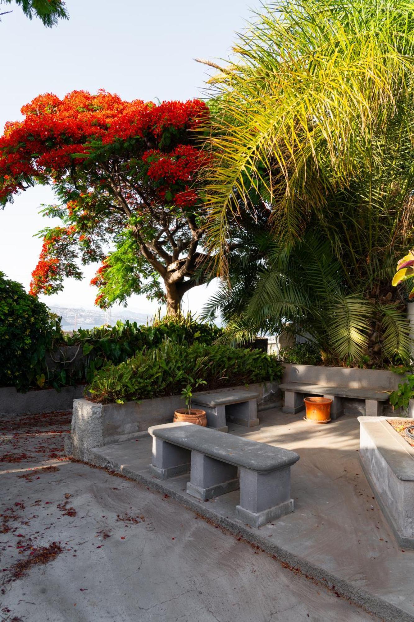 Finca La Pampa Arafo ภายนอก รูปภาพ